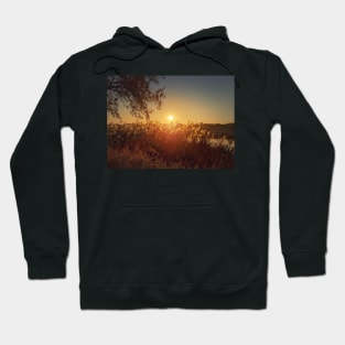 Evening silence at the lake Hoodie